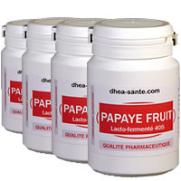Offre Papaye Lacto-fermentée