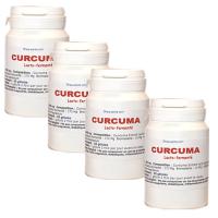 Curcuma lacto fermenté articulations
