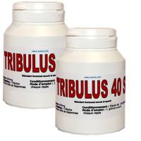 Tribulus Trrestris 240 gélules